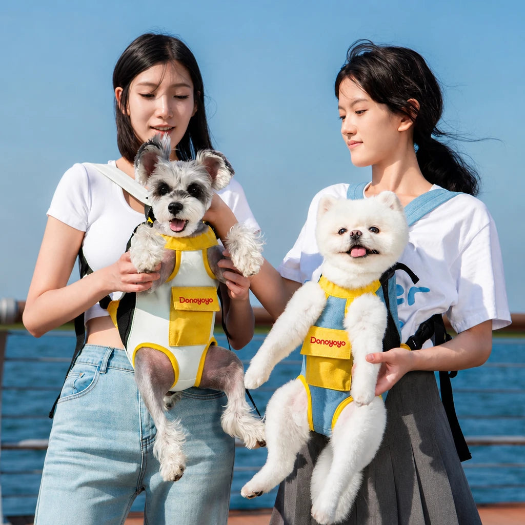 main-01.webp