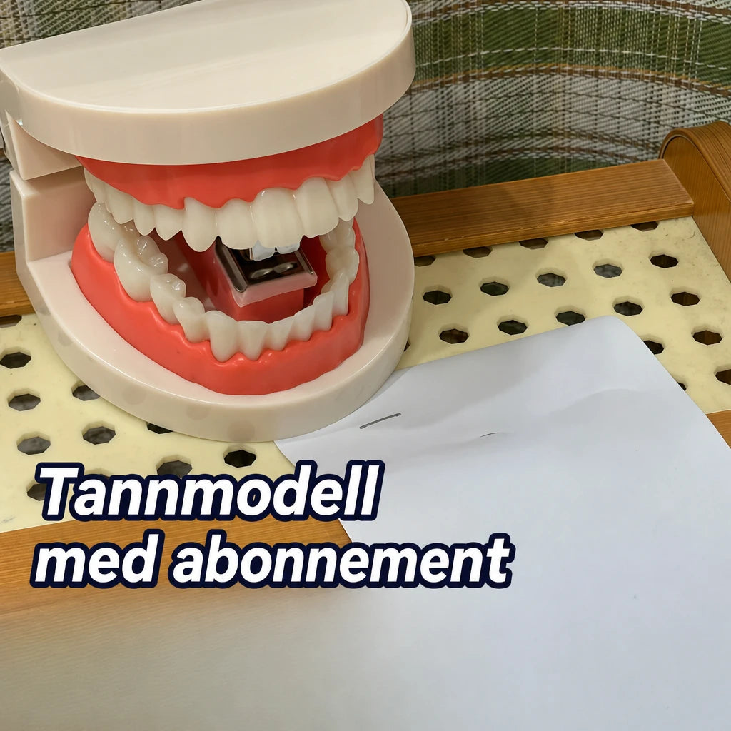 main-01.webp