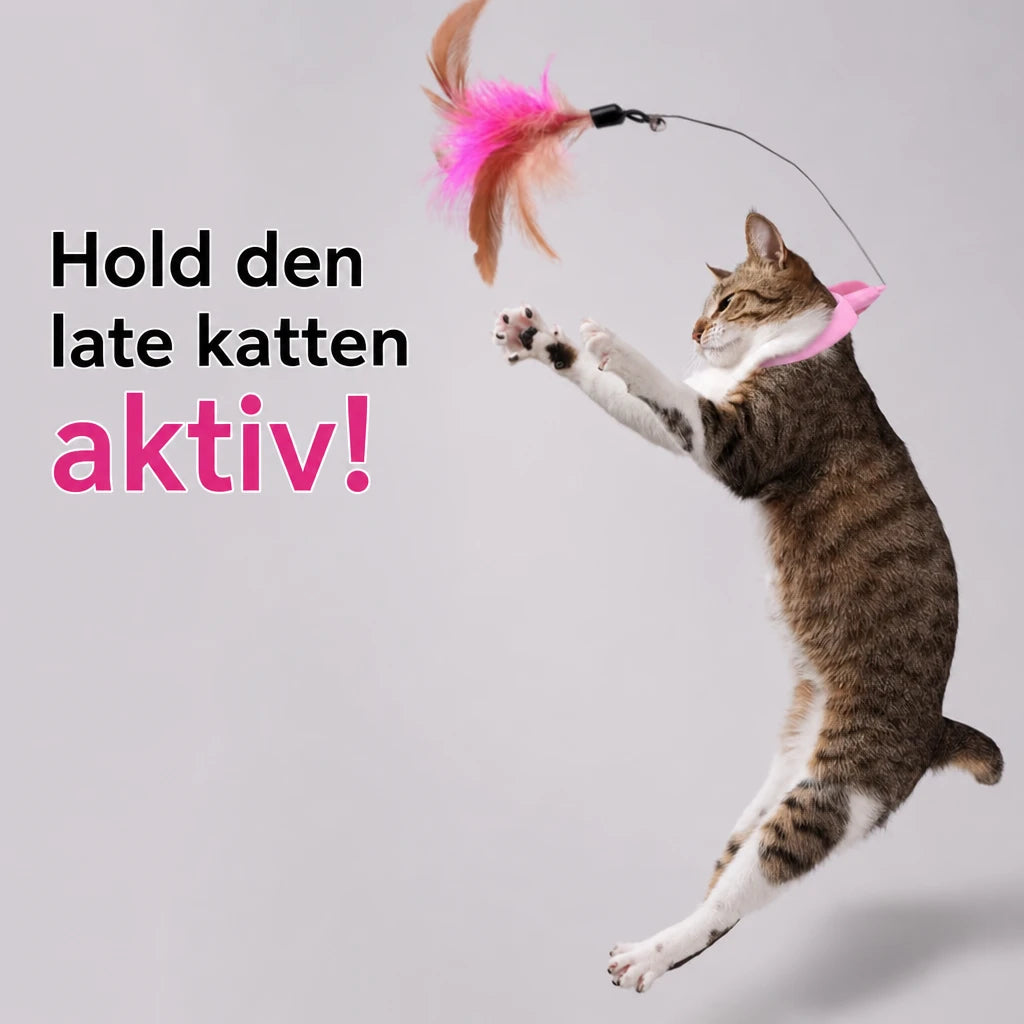 main-02.webp