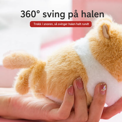 main-05.webp